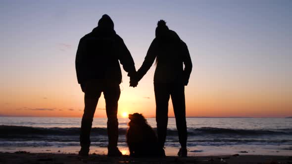 silhouette of couple at the beach looking down lovingly at their dog