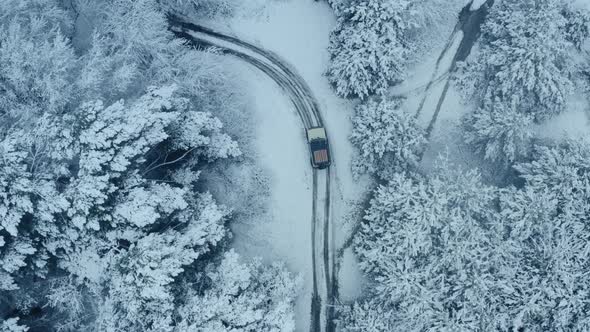 Winter Snow Road Road in Forest