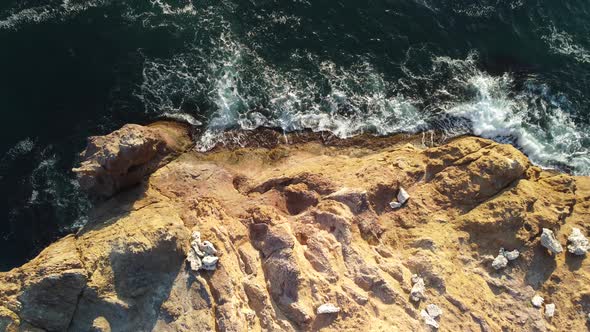 Dragon Head Arise From the Water  The Rock or Lava Formation with the Shape of a Large Animal