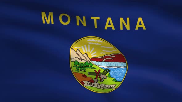 Montana State Flag Background 4K