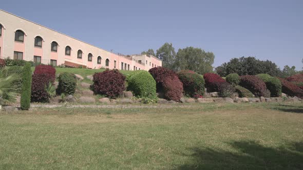 Garden with shrubs near a building