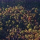 Aerial of Colorful Fall Autumn Forest - VideoHive Item for Sale