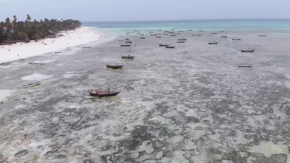 Lot Fishing Boats Stuck in Sand Off Coast at Low Tide Zanzibar Aerial View