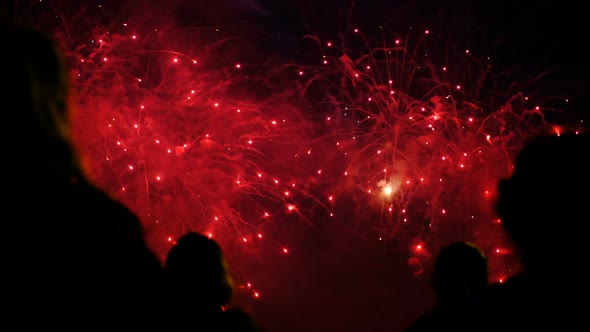 Silhouettes of a Crowd of People on a Background of Colorful Fireworks. Public Watching