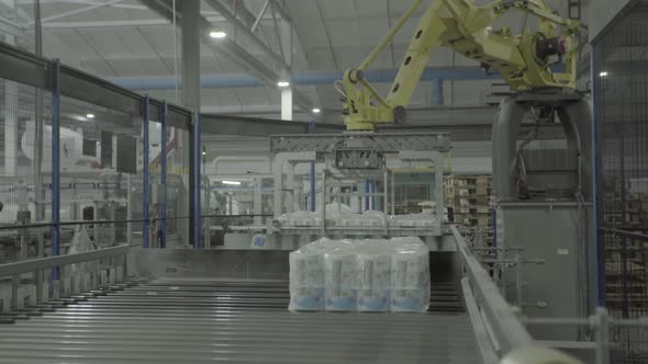 A Working Conveyor in a Paper Mill, Technology, Factory, Kyiv, Ukraine