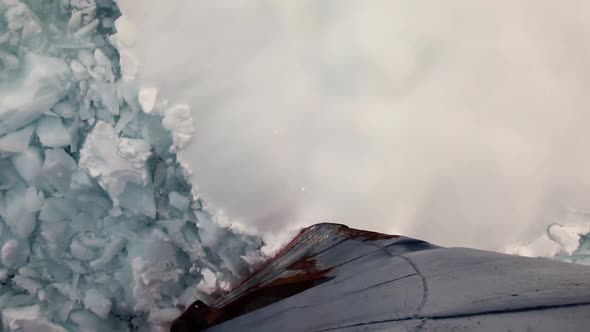 Bow Of A Ship Going Through Pack Ice In Antarctica