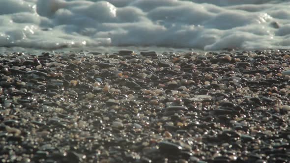 Seafoam on the Shore alt