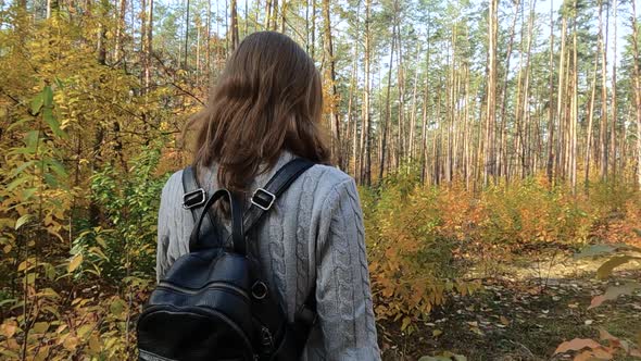 The Girl Walks Through the Autumn Forest