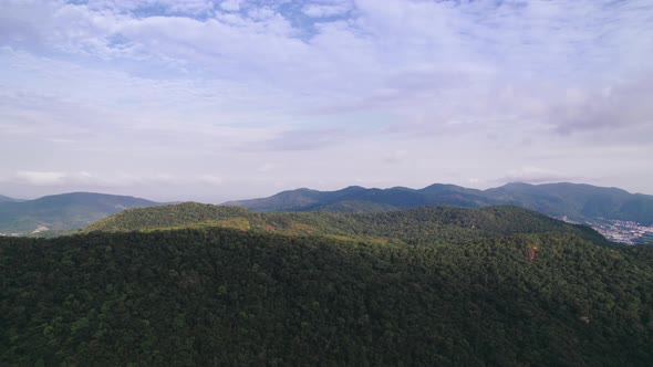 Tropical Jungle in the Mountains