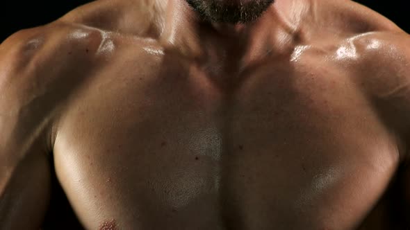 Close Up Muscular Sweaty Chest of Sportsman