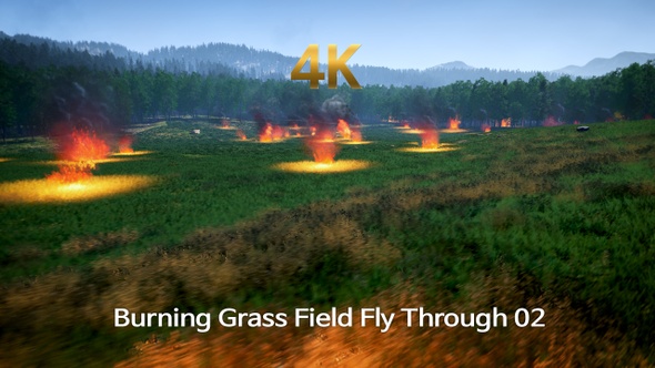 Burning Grass Field Fly Through 4K 02