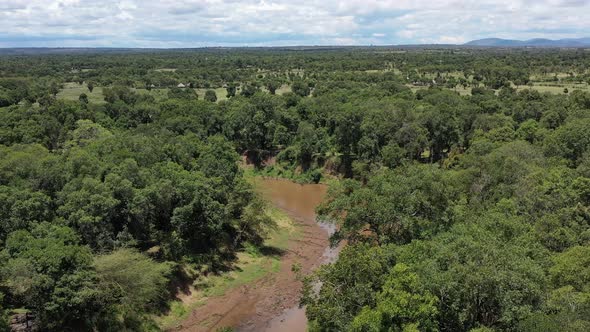 Natural Habitat in Africa