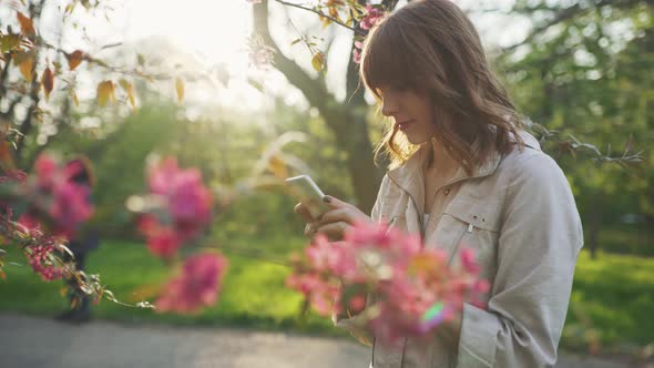 Young Attractive Redhaired Woman Taking Photos of Spring Flowers of Cherry or Sakura Blossoms on