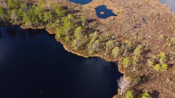 Aerial birdeye view of Dunika peat bog (mire) with small ponds in sunny spring (autumn) day with clo