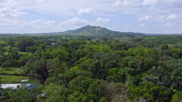 Drone flying over green forest near Bayaguana in Monte Plata municipality. Dominican Republic. Aeria
