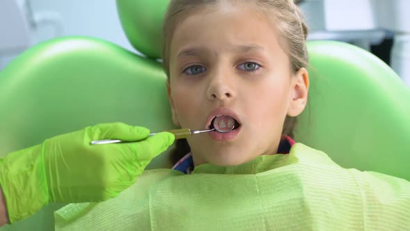 Pediatric Dentist Checking Teeth With Mouth Mirror, Routine Dental Examination