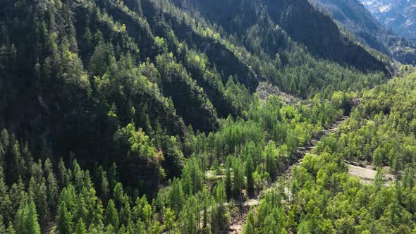 Twisted hiking trail in up lush green Italian alp valley hillside; drone