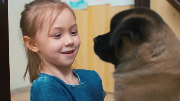 Little girl examining puppy face to face