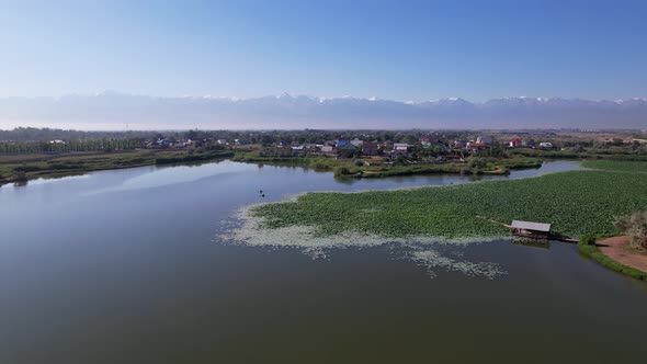 Relax on the SUP Boards Among the Lotuses in Pond