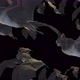 Bat Crowd Sideview 4K - VideoHive Item for Sale