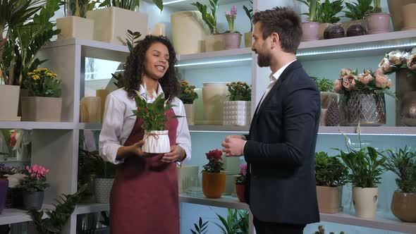 Cute Florist Offering Client To Buy Potted Plant