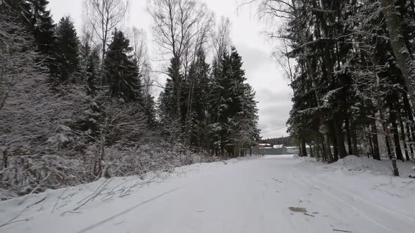 Time lapse video on the snowy forest.