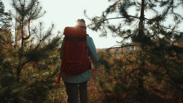 A Woman with a Backpack Hiking in Nature in Sunny Autumn Weather