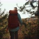 A Woman with a Backpack Hiking in Nature in Sunny Autumn Weather - VideoHive Item for Sale