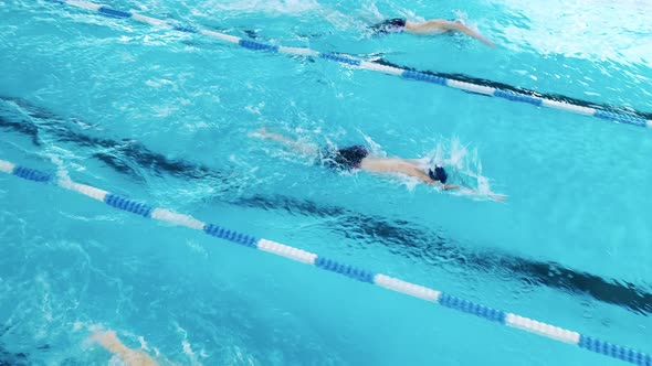 Athletes Training in a Swimming Pool