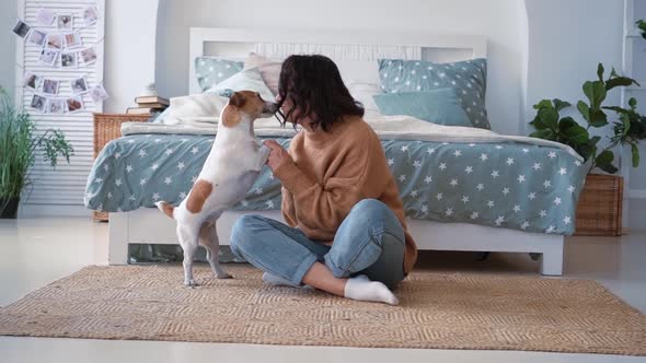 Caucasian Woman Resting Show Love with Jack Russell Dog Near the Bed in the Bedroom on the Rug the