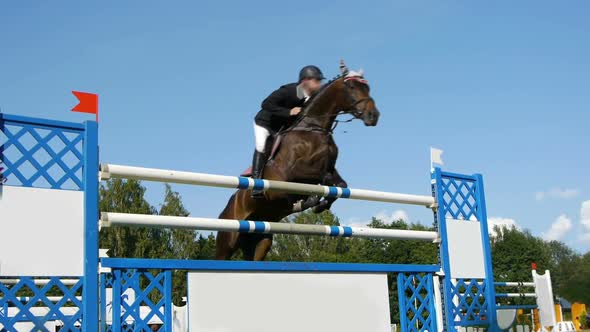 Show jumping. Horse jumping obstacles