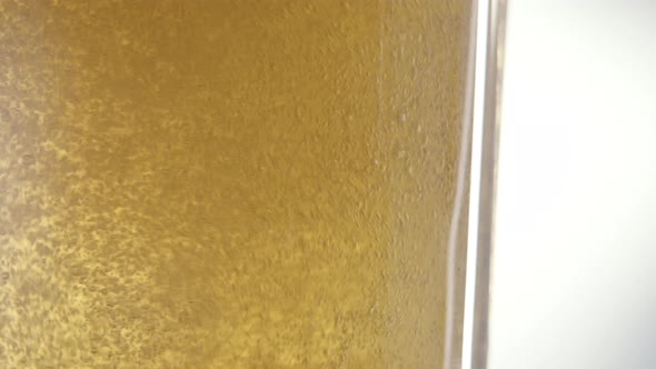 Foaming Beer is Poured Into the Glass in Slow Motion