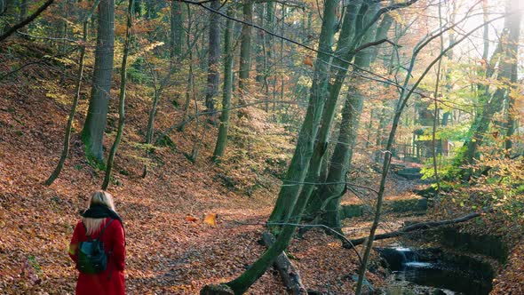 Beautful Young Girl in red coat walking away from camera amidst the orange brown autumn forest woodl