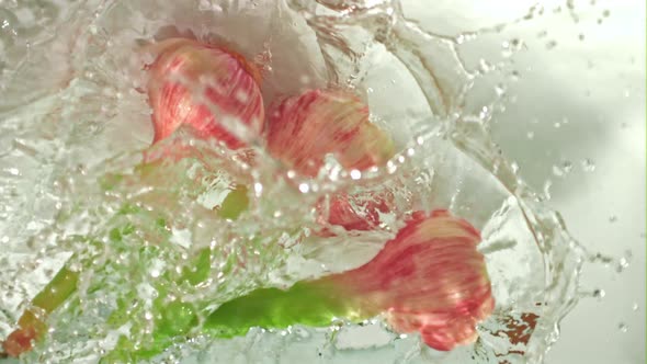 Super Slow Motion Garlic Falls Into the Ode with Splashes on a White Background