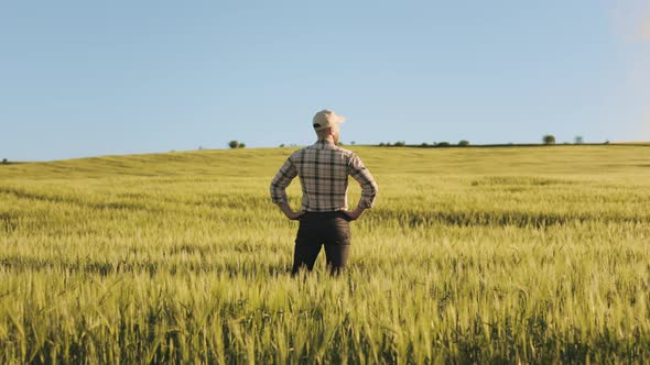 A Young Farmer is Standing in the Middle of a Wheat Field