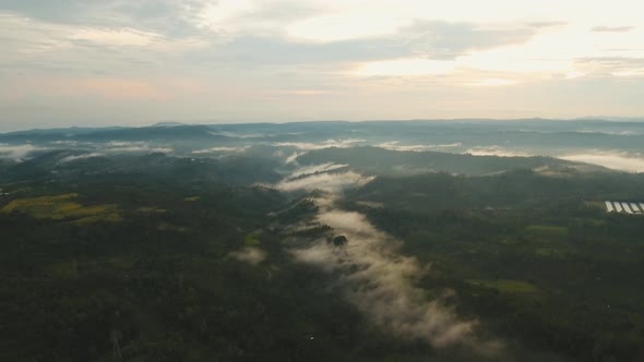 Tropical Landscape at Sunset BaliIndonesia