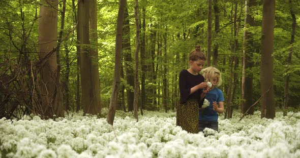 Beautiful Shot of Siblings Picking Flowers in the Woods with Tall Trees