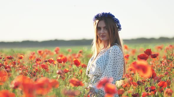 A Russian Girl with a Blue Wreath of Cornflowers Poses in a Field of Poppies