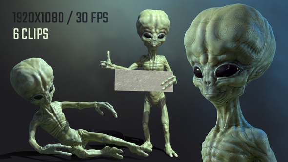 Alien - 6 Pack