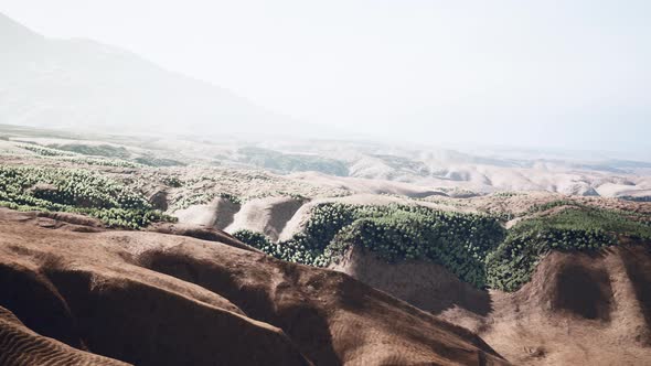 Aerial View of the Sahara Desert alt