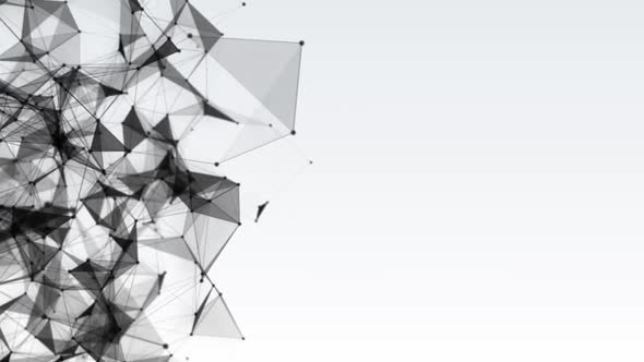 Animation of detailed plexus structure 4k