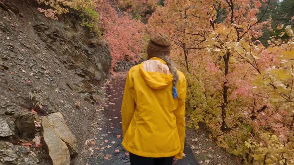 Hiking up paved trail following woman through the Fall colors