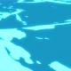 2D Looking Water Transition V1 - VideoHive Item for Sale
