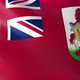 Flag of The Bermuda - VideoHive Item for Sale