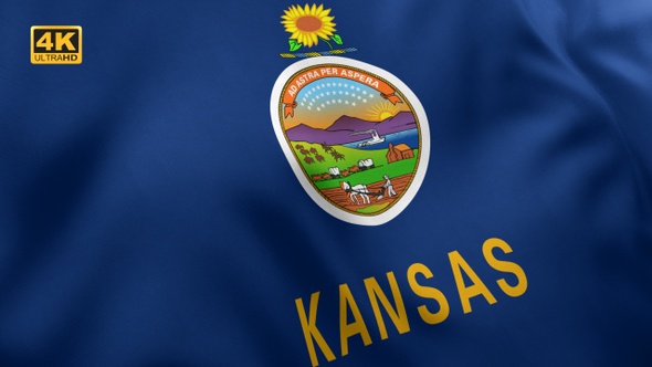 Kansas State Flag - 4K
