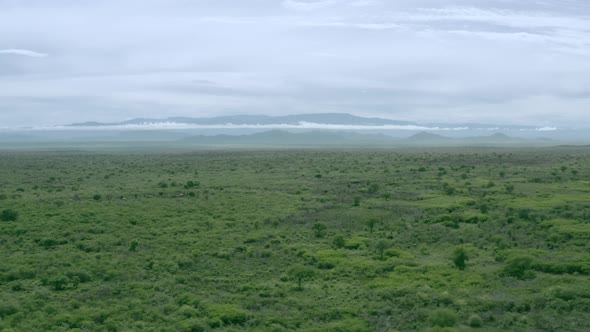 African Landscapes m Drone Flight Over Green Savanna Omo Valley Ethiopia