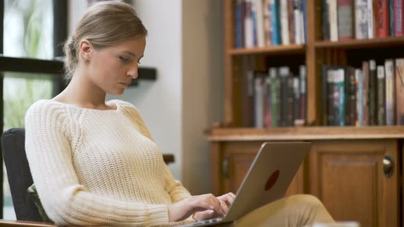 Portrait Of Working Business Woman