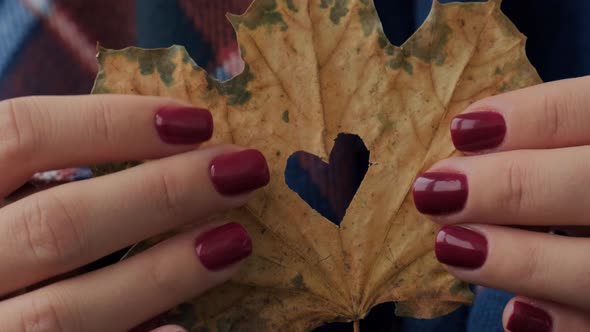 Stylish Red Female Nails