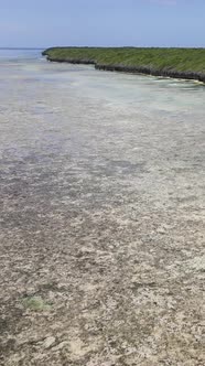 Vertical Video of Low Tide in the Ocean Near the Coast of Zanzibar Tanzania