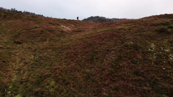 Aerial of a Tourist Hiking Along the Hills in Himmelbjerget Area Denmark